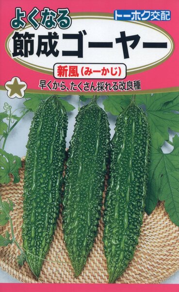 F1 よくなる節成ゴーヤー 新風