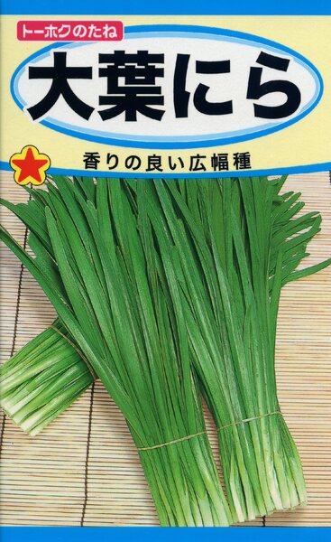 大葉にら