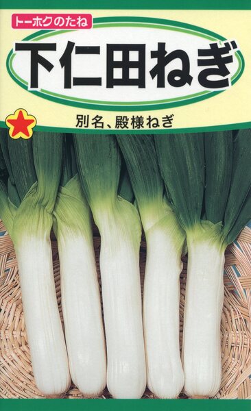 下仁田ねぎ
