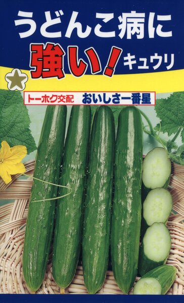 うどんこ病に強い おいしさ一番星