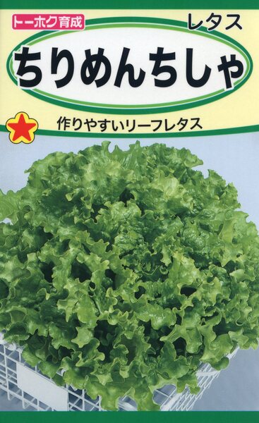 ちりめんちしゃ