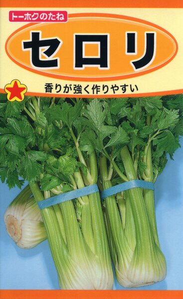 セロリ