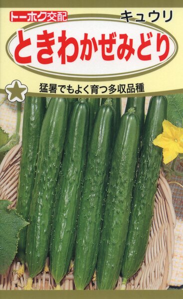 F1 ときわ かぜみどり