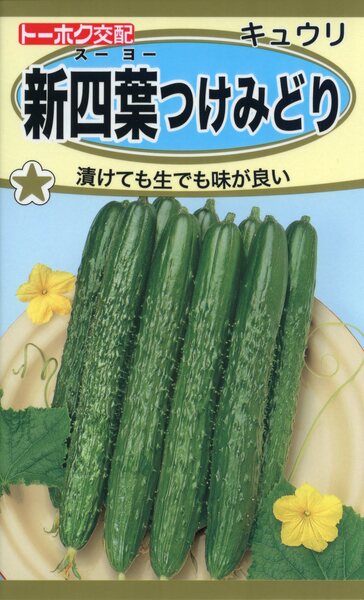F1 新四葉 つけみどり