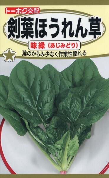 F1 剣葉ほうれん草 味緑