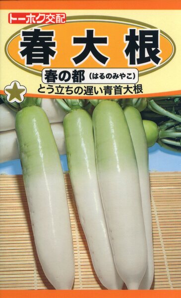 F1 春大根 春の都