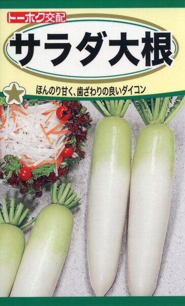F1 サラダ大根