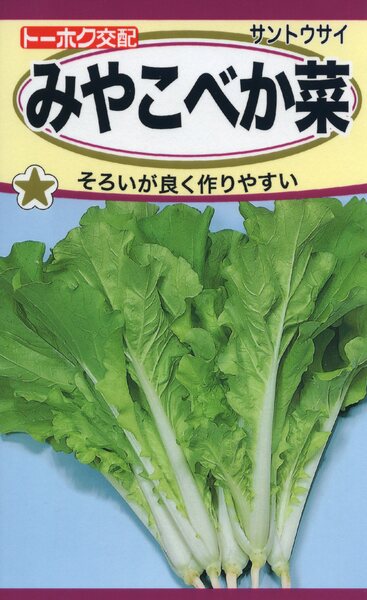 F1 みやこべか菜