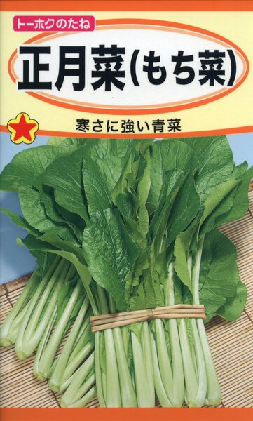 正月菜 もち菜