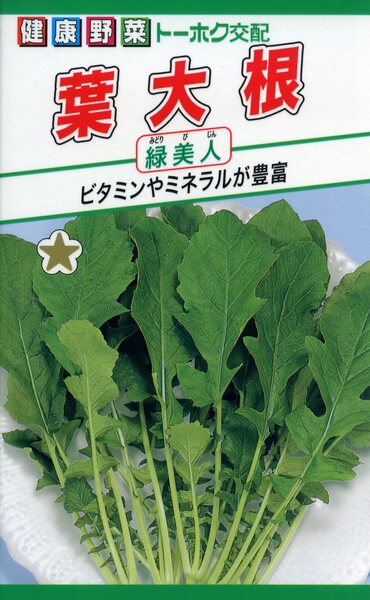 F1 葉大根 緑美人