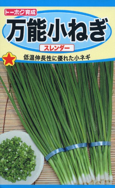 万能小ネギ スレンダー