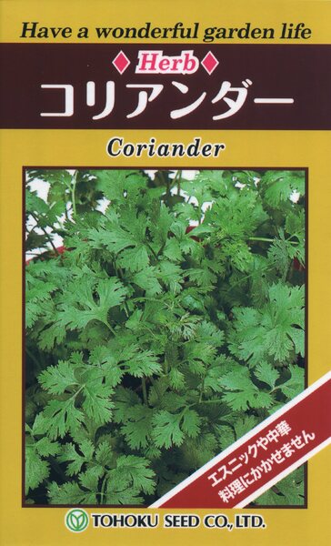 ハーブ コリアンダー