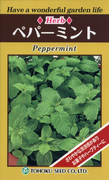 ハーブ ペパーミント