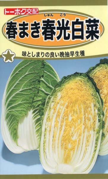 F1 春まき春光白菜