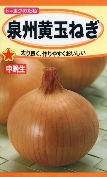 泉州黄玉ねぎ
