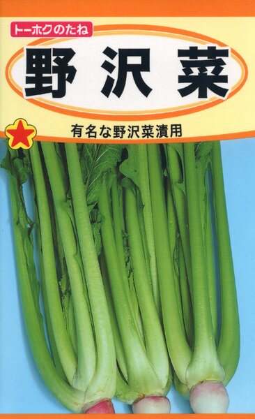 野沢菜
