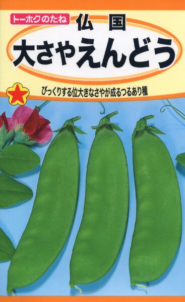 仏国大さやえんどう