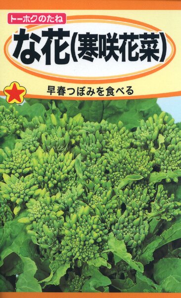 な花 (寒咲花菜)