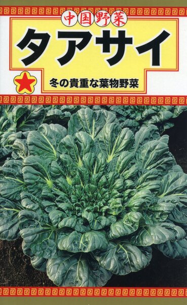 タアサイ