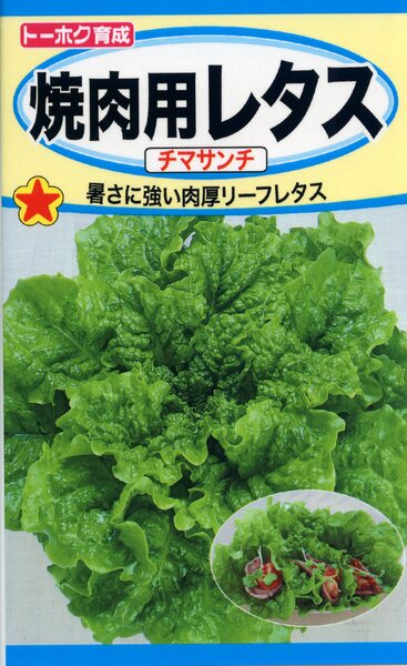 焼肉用レタス チマサンチ