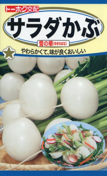 F1 サラダかぶ 雪の華