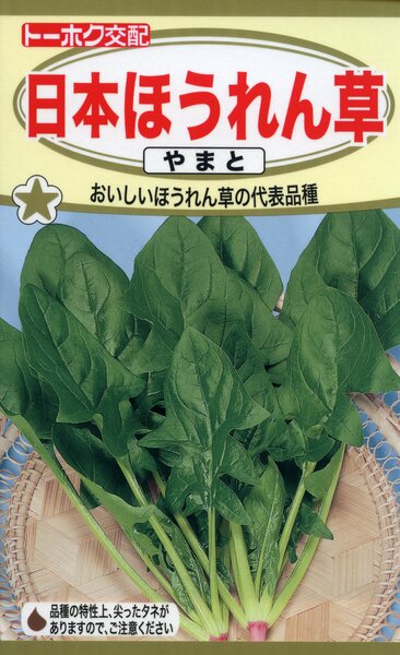 F1 日本ほうれん草 やまと