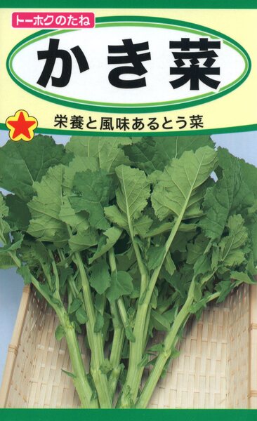 かき菜