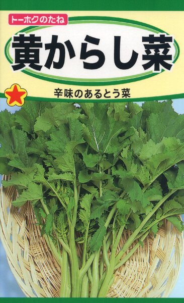 黄からし菜