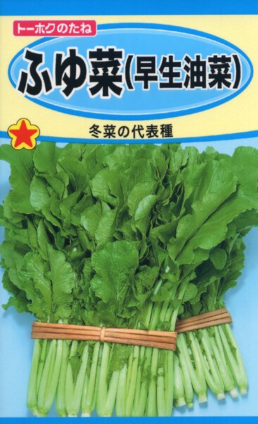 ふゆ菜 (早生油菜)