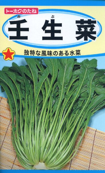 壬生菜