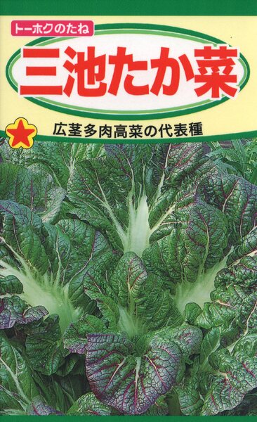 三池たか菜