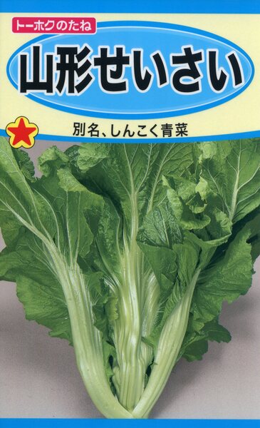 山形せいさい