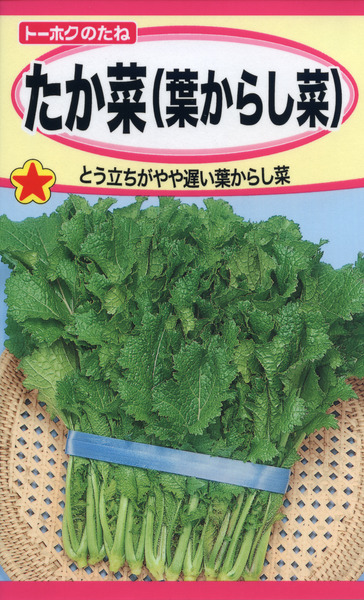 たか菜 (葉からし菜)