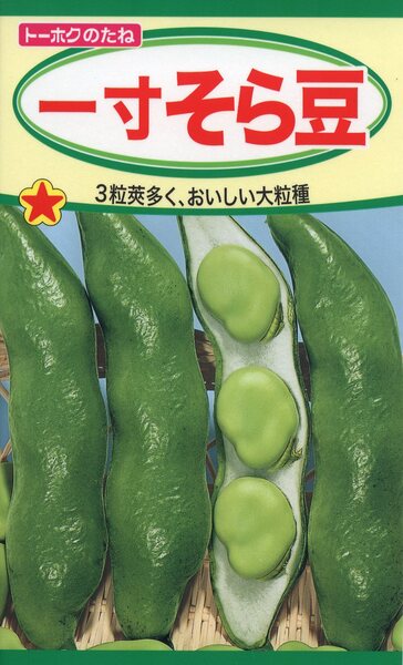 一寸そら豆
