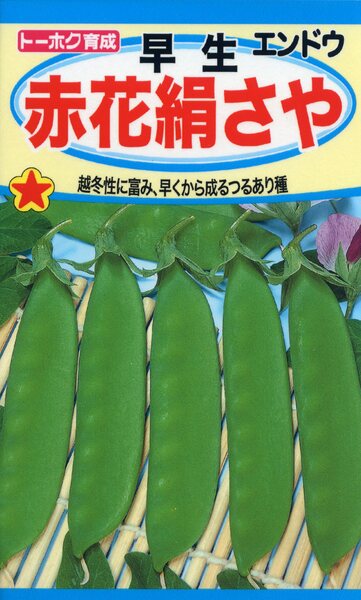 早生赤花絹さや