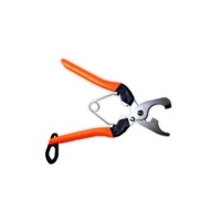 サボテン 2段式芽キズ鋏