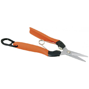 サボテン 衝撃吸収 摘果鋏