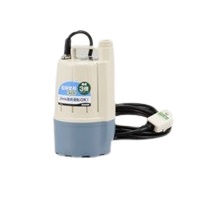 フルタイム ポンディ