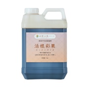 活根彩果(カッコンサイカ)