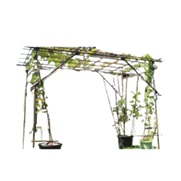 フルーツパーゴラ DXタイプ