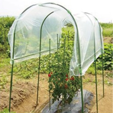 雨除け栽培セット