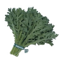 きわめ中華春菊