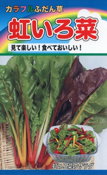 カラフルふだん草 虹いろ菜