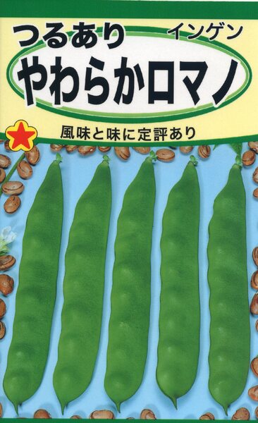 つるありやわらかロマノ