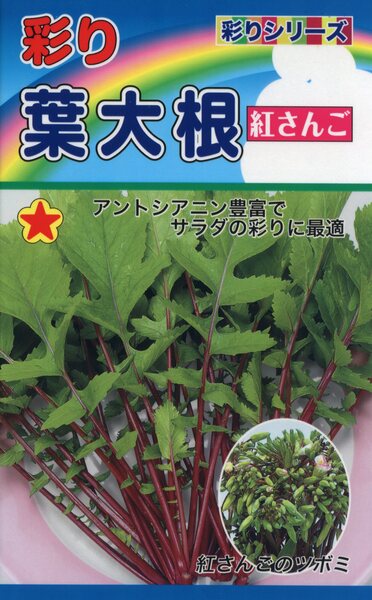 彩り 葉大根 紅さんご