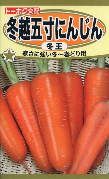 F1 冬越五寸にんじん 冬王