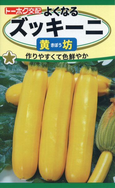 よくなる ズッキーニ 黄坊