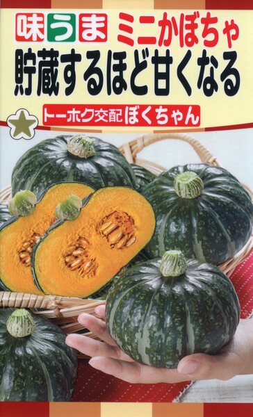 F1 貯蔵するほど甘くなる ミニかぼちゃ ぼくちゃん