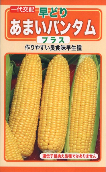 F1 早どり あまいバンタム プラス