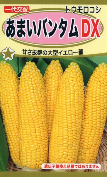 F1 あまいバンダム DX